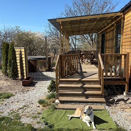 Wapnica  Tiny Beach House Heated And Airconditioned מראה חיצוני תמונה